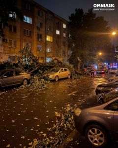 Sursă foto: Facebook / Omniasig Vienna Insurance Group